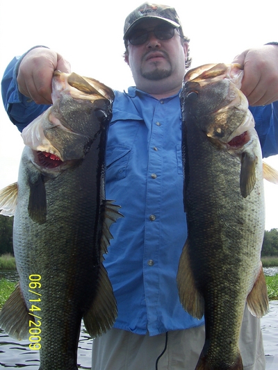 UK Mike  7 3/4 and 6 LB