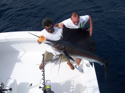 sailfish costa rica