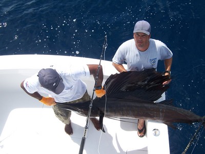 Sailfish Release Costa Rica