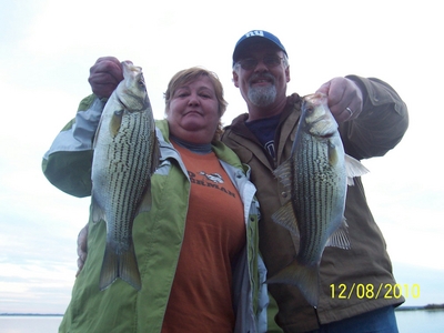 Couple Nice SunShine Bass
