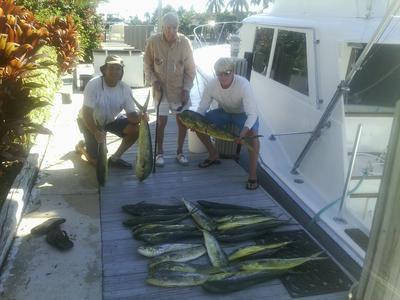 Nice dolphin catch on a sportfishing trip