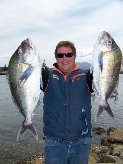 A couple of nice Morwong cuaght thru the week.