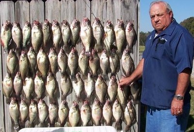 Toledo crappie by the wall full