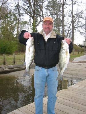 March stripers