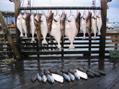 Little bit of everything