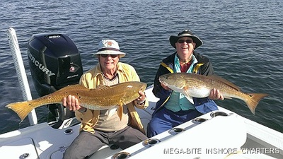 Two gollden reds