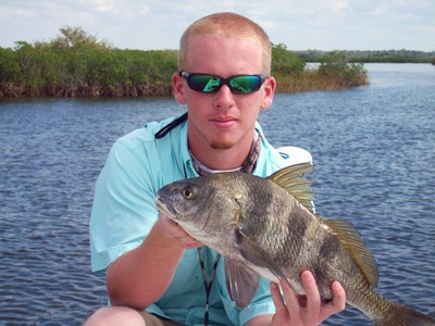 nate caught this black drum on a gold jerk bait.
