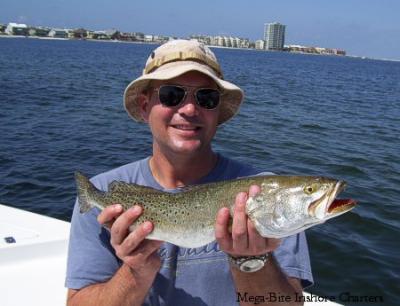 Aron holds up a nice 23 inch speck that ate a small livley pinfish.