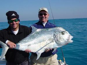 A Beautiful African Pompano