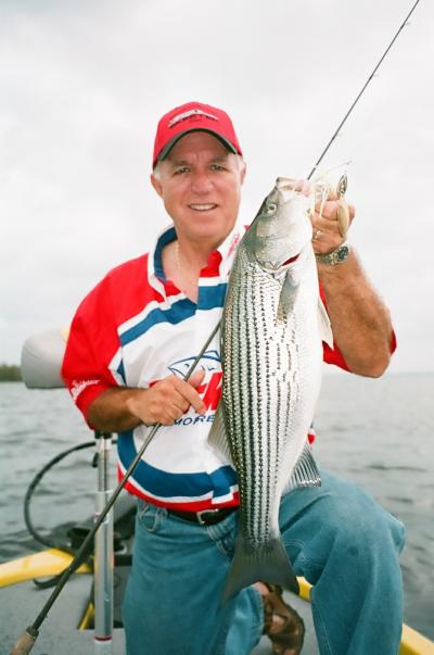 Guide surprise!   A 14 pound striper crashed a Stanley spinnerbait over 6 feet of water with scattered grass.