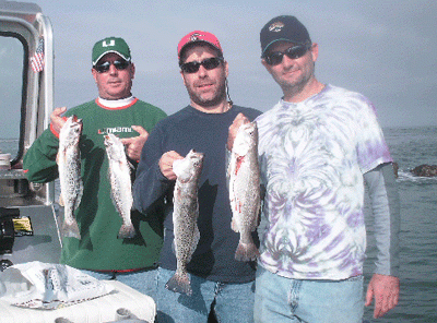 The first 4 they caught.......