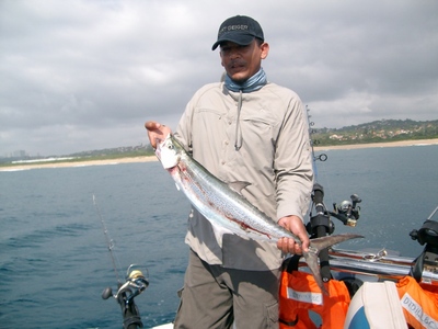 The 1st Snoek of the Day