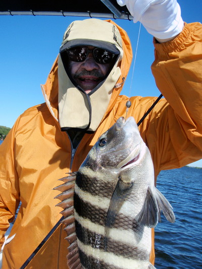 The colder the weather the better the bite for large sheepsheads