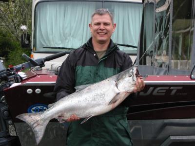 Spring Chinook Salmon