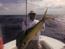 Big Miami Mahi!