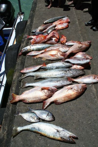 Part of the day's bag