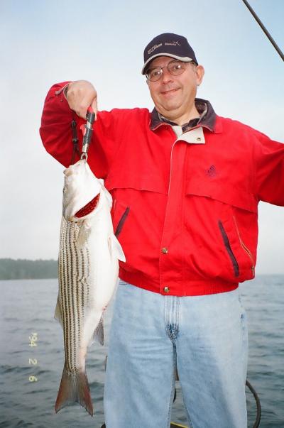 Rod Pollard, DeRidder,  LA angler, with a nice 17.3 pound striper which crushed a Stanley Spinnerbaits near TX Island area.