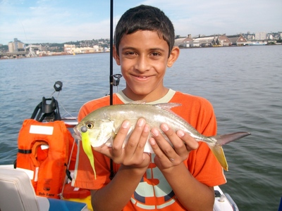 A Little Yellow Tail/Black Tip King Fish (Jack)