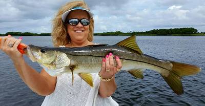 Nice 30 inch snook.