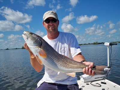 Redfish
