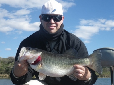 Inanda Dam Bass