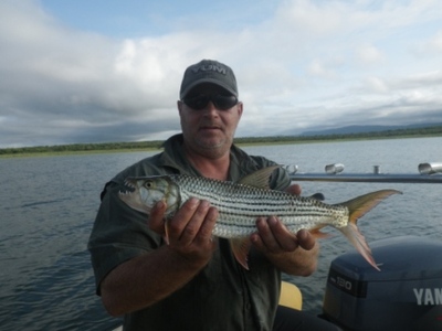 Lake Jozini Tiger Fish