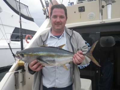 Durban Yellowfin Tuna