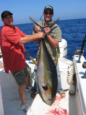 120lb. yellowfin caught by Daniel Becnel. on 4/27/06