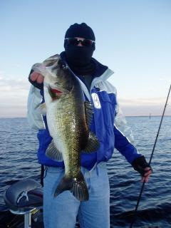 A Little bit of the Cold