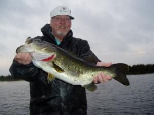 We estimated 9.5 lbs.