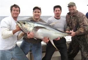 First tuna chunking at Lump