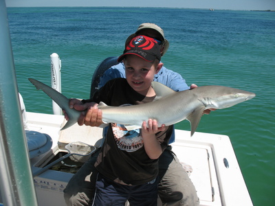 small sharks offer great action for the junior anglers