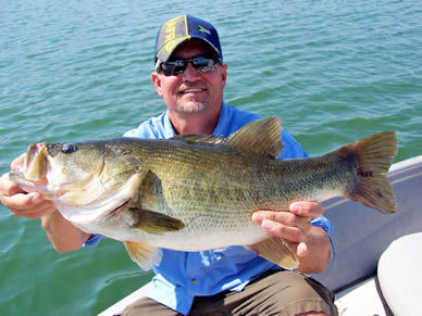 A Nice Baccarac Bass