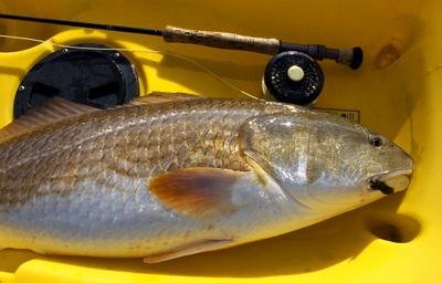 first fish of 2011. YEAH!