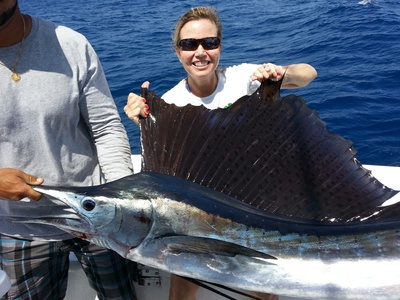 Sailfish just caught sportfishing Ft Lauderdale