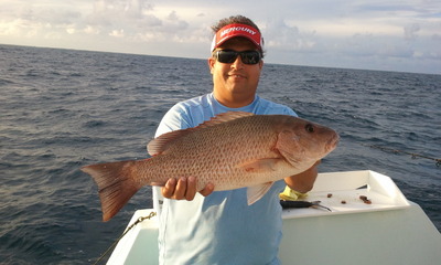 Big Mangrove Snapper
