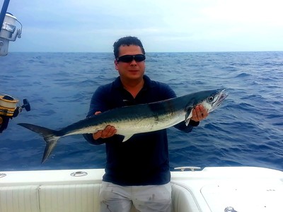 Kingfish