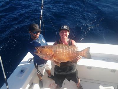 Big Cubera snapper caught deep dropping