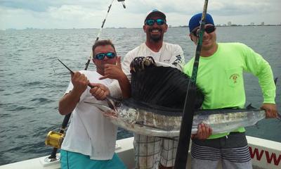 Sailfish caught on our sportfishing trip