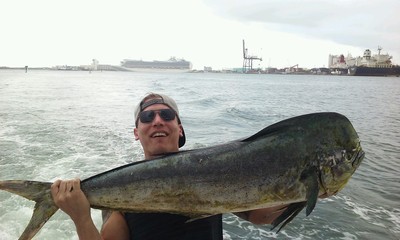 Nice dolphin caught on our sportfishing trip