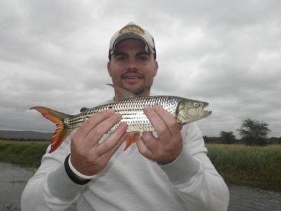 Lake Jozini Tiger Fish