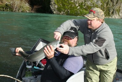 Another Chetco river steelhead.