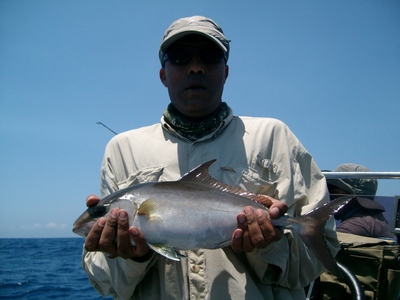 Our 1st Tropical Yellow Tail this Season