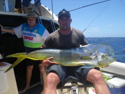 20Kg (44lb) Bull Dorado