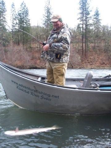 Steelhead released size 14 hook used