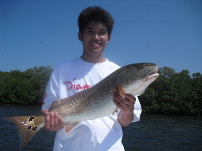 Lots Of Reds To Catch