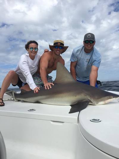 We also catch sharks!