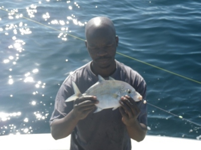 Small King Fish
