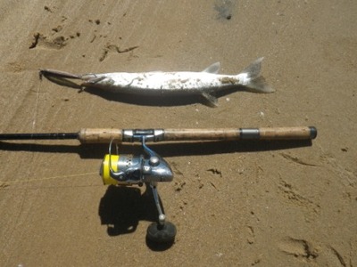 Small Kosi Bay Seapike