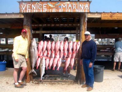 Russell Gang/28 snapper